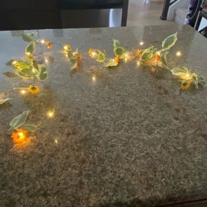 Sunflowers and leaves string of lights🌻✨